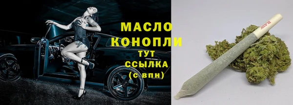 дживик Верхний Тагил