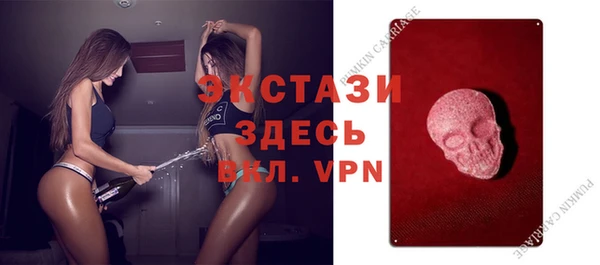 дживик Верхний Тагил