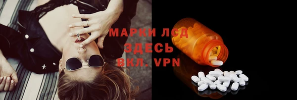 дживик Верхний Тагил