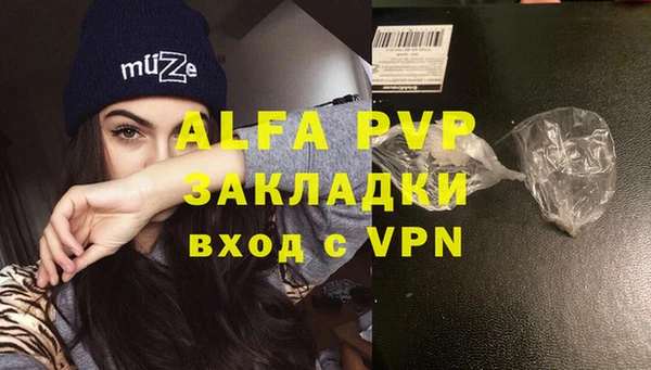 дживик Верхний Тагил