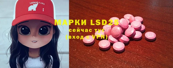 дживик Верхний Тагил