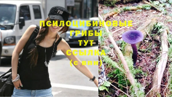 дживик Верхний Тагил