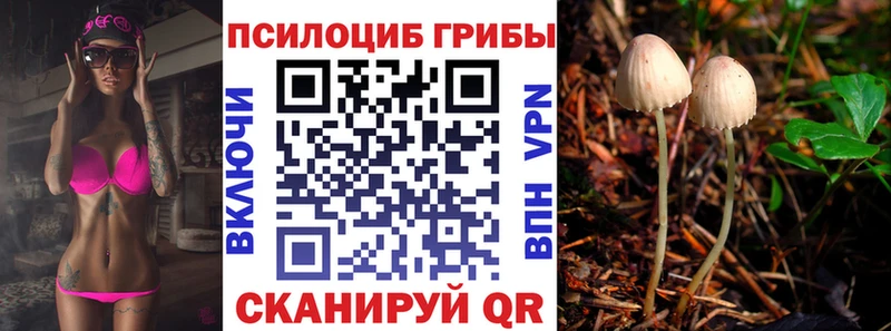 kraken зеркало  магазин    Ростов-на-Дону  Галлюциногенные грибы ЛСД 